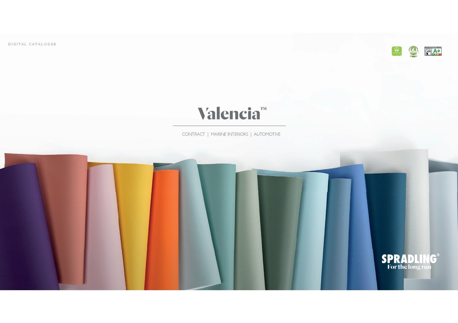 Vinyle Cat Start Valencia 24