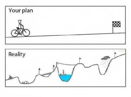 plan vs reality.jpeg