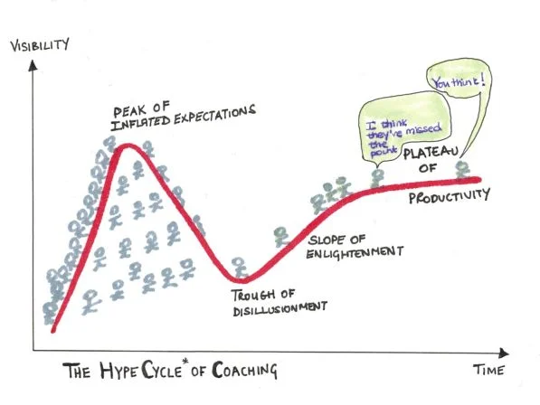 *The Hype Cycle is a branded graphical presentation developed and used by US Information Technology (IT) research and advisory firm Gartner. (See Wikipedia)