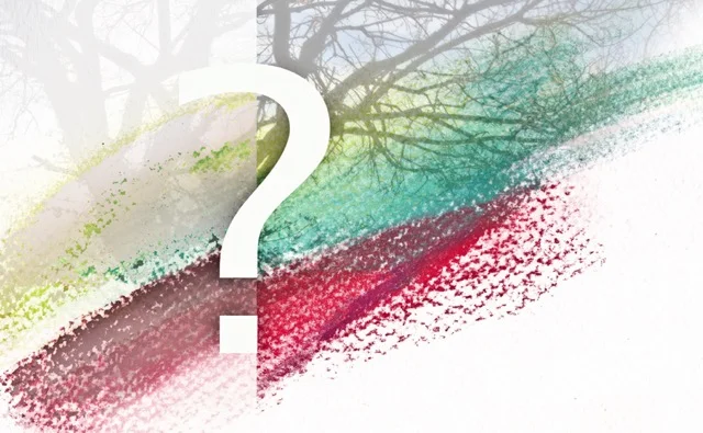 Integrating Coaching Ethics for the Anthropocene: ‘Gutfeel’ and 'On Principle' Coaching Approaches to Sustainability  by Geoffrey Ahern (guest)