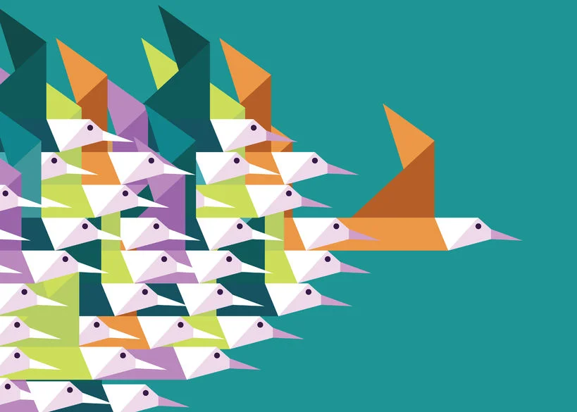 35194767 - geometric group of birds. leadership and competition concept. flat vector illustration