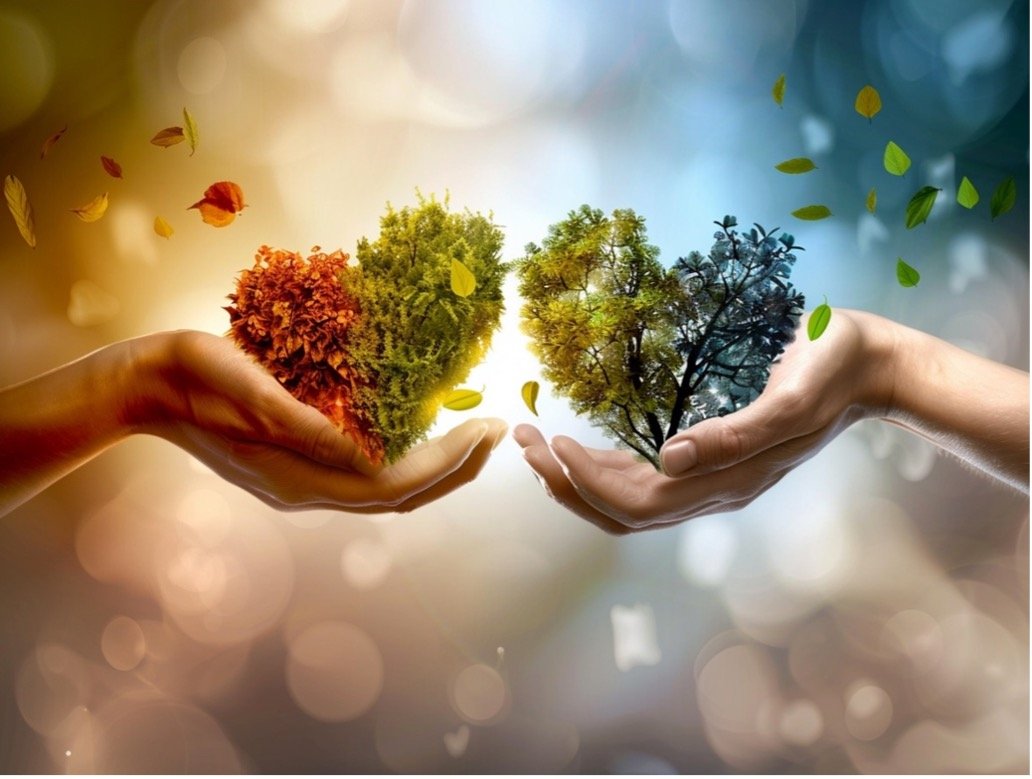 Reflections on Endings in Coaching: Navigating Closure and Continuity by Andrew Parrock