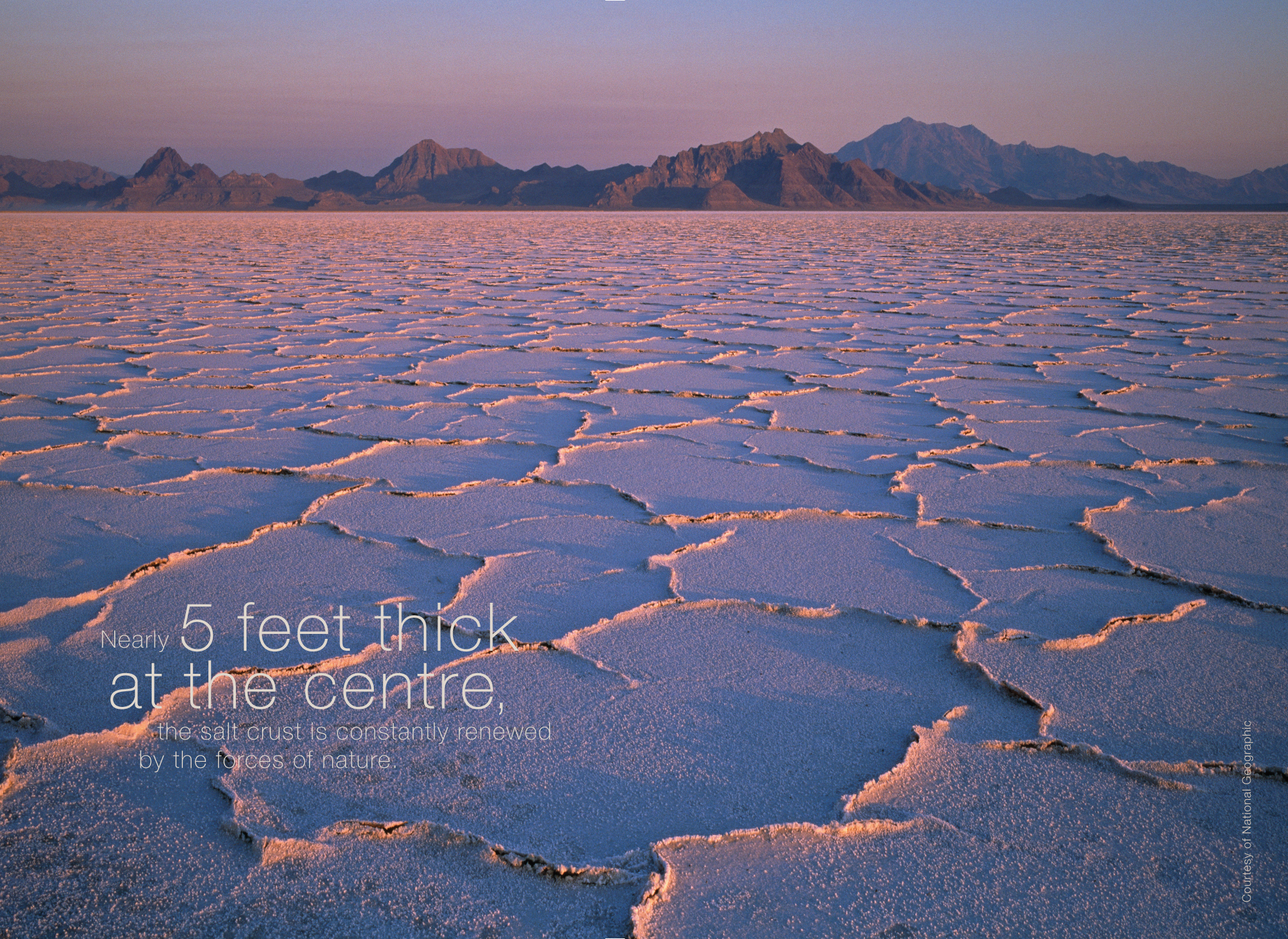 p20_21 SS08.jpg