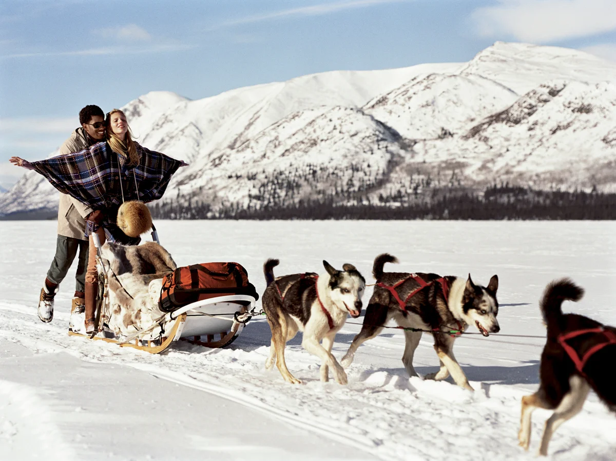 UNI_04_FW06.jpg