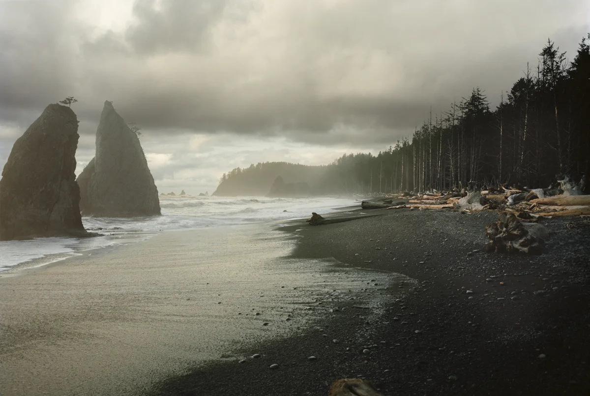 LSC_GL_01_FW07_ISO39L.jpg