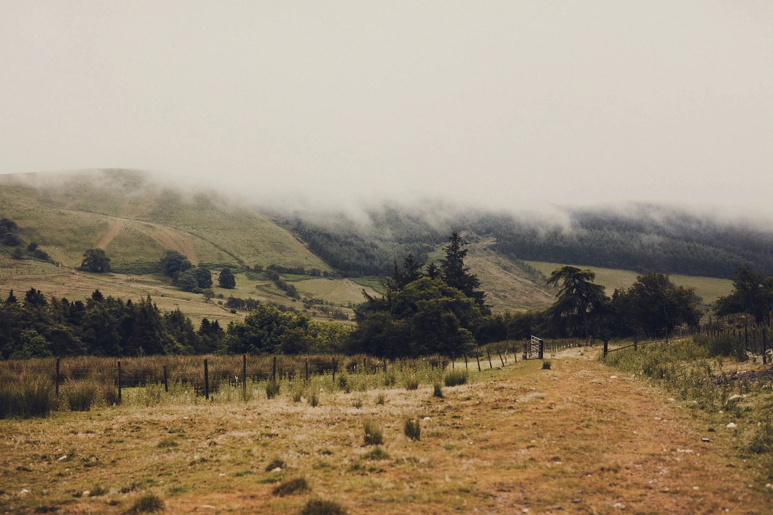 20170710_DuckHead_Landscapes-028.jpg