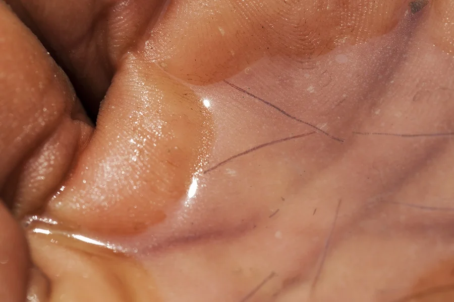 Tiny shrimp fry in the hand of a fisherman