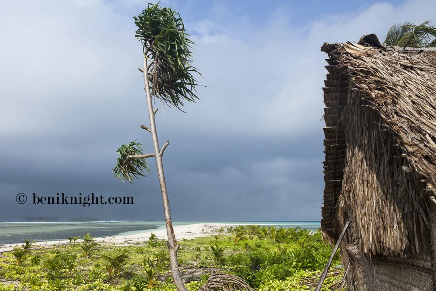 Beyond this tree used to stand 20-30 houses and a cemetery. Ahaha Island (pop:20)