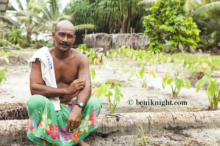 Each harvest yields less "fruit" as the soil is struggling with salinization. Patron Laliana, Pelau
