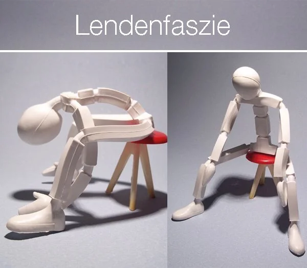 Übungen für die Lendenfaszie (Fascia thoracolumbalis) - Faszien-Mobilisation des unteren Rückens