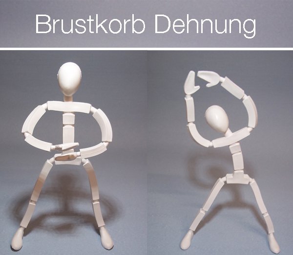 Übungen zur Mobilisation des Brustkorbs - ergänzendes Übungsprogramm der Praxis