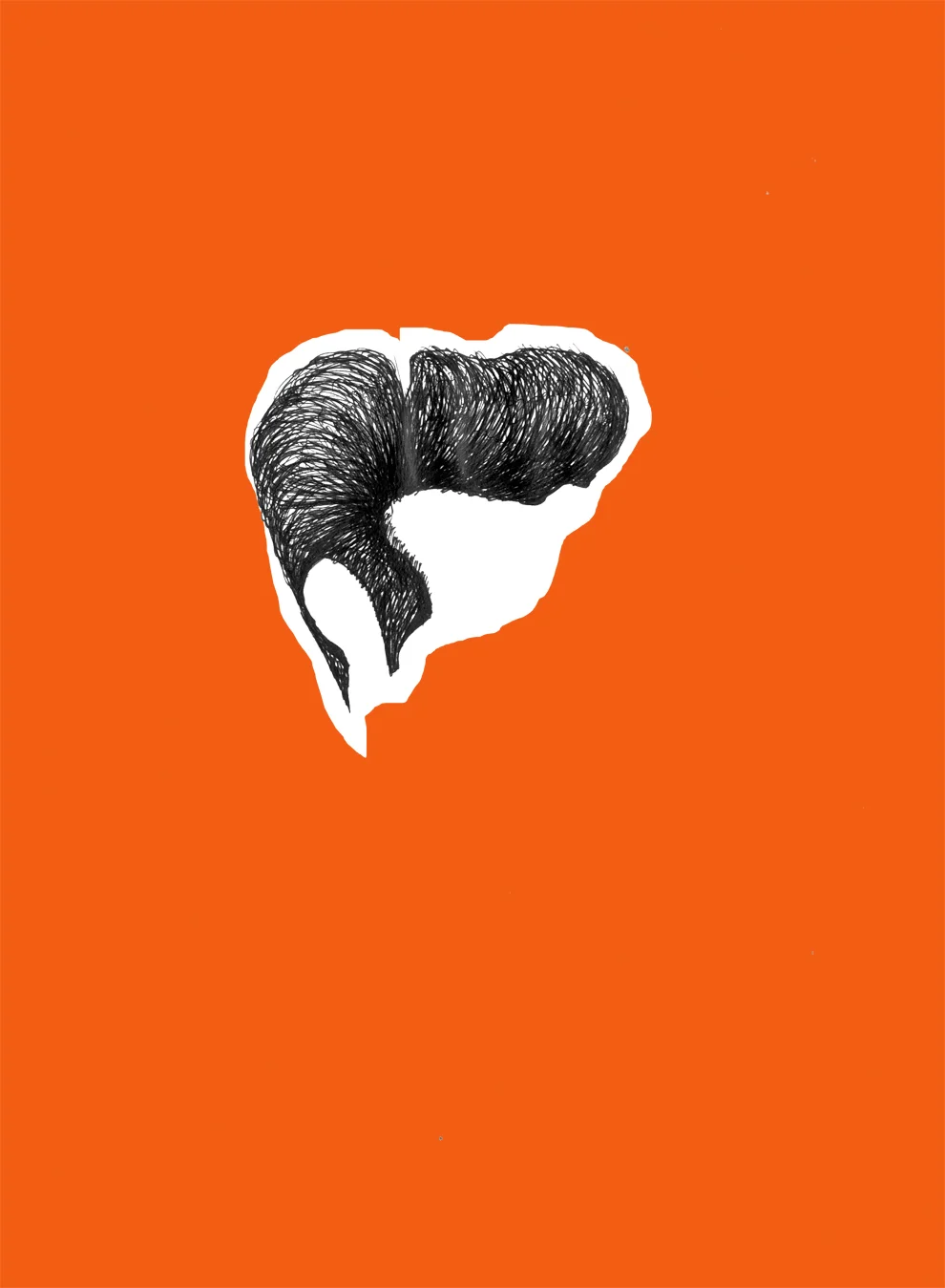 hair007.jpg