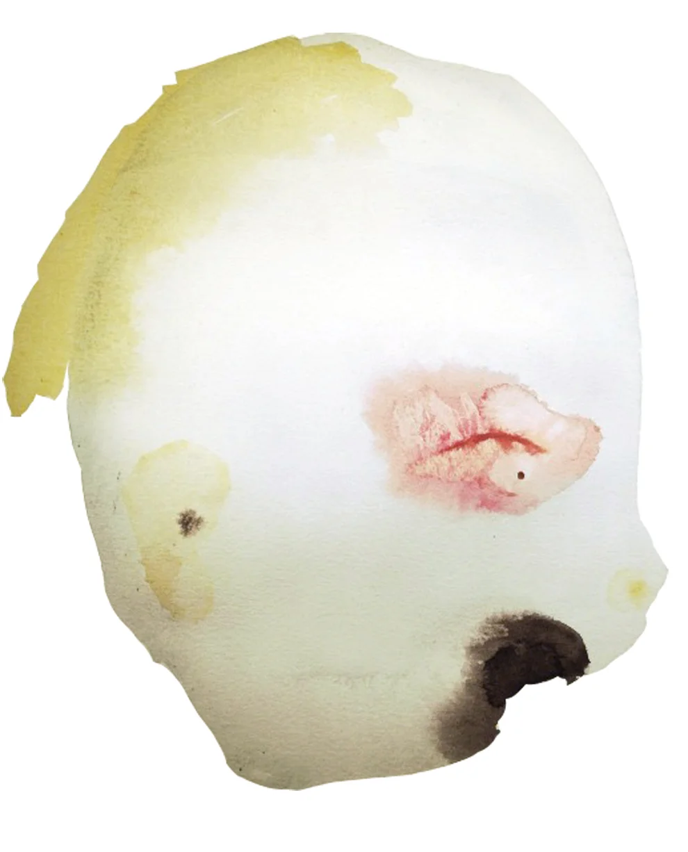 snothvalp.jpg
