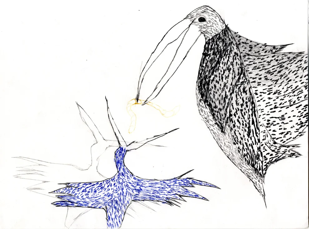 bird02.jpg