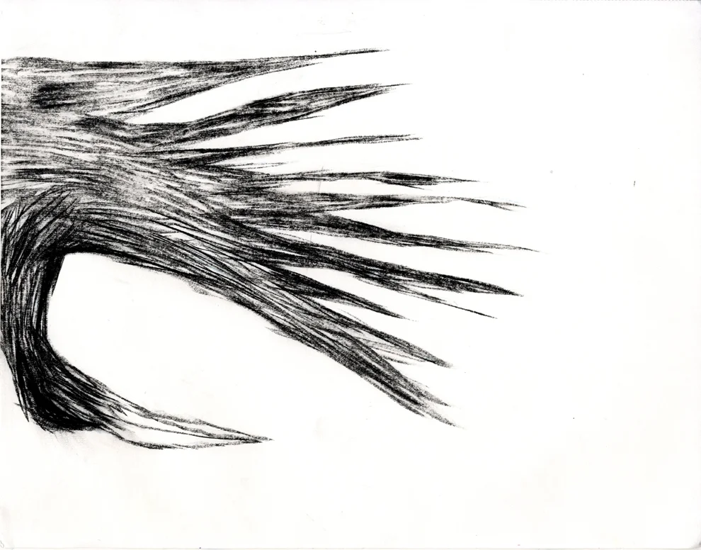 bird04.jpg