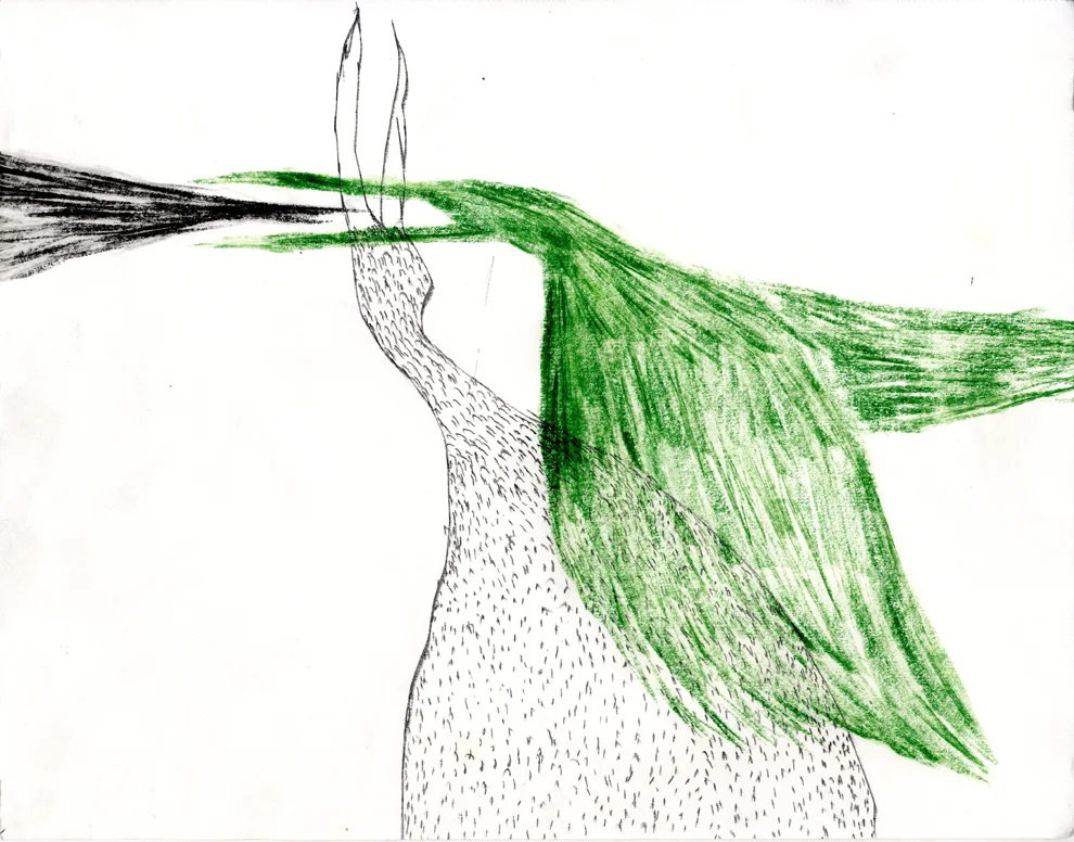 bird06.jpg
