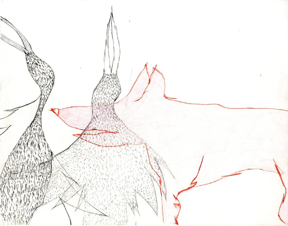 bird09.jpg