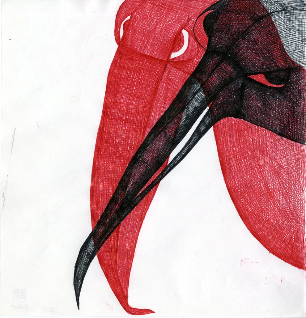 bird15.jpg