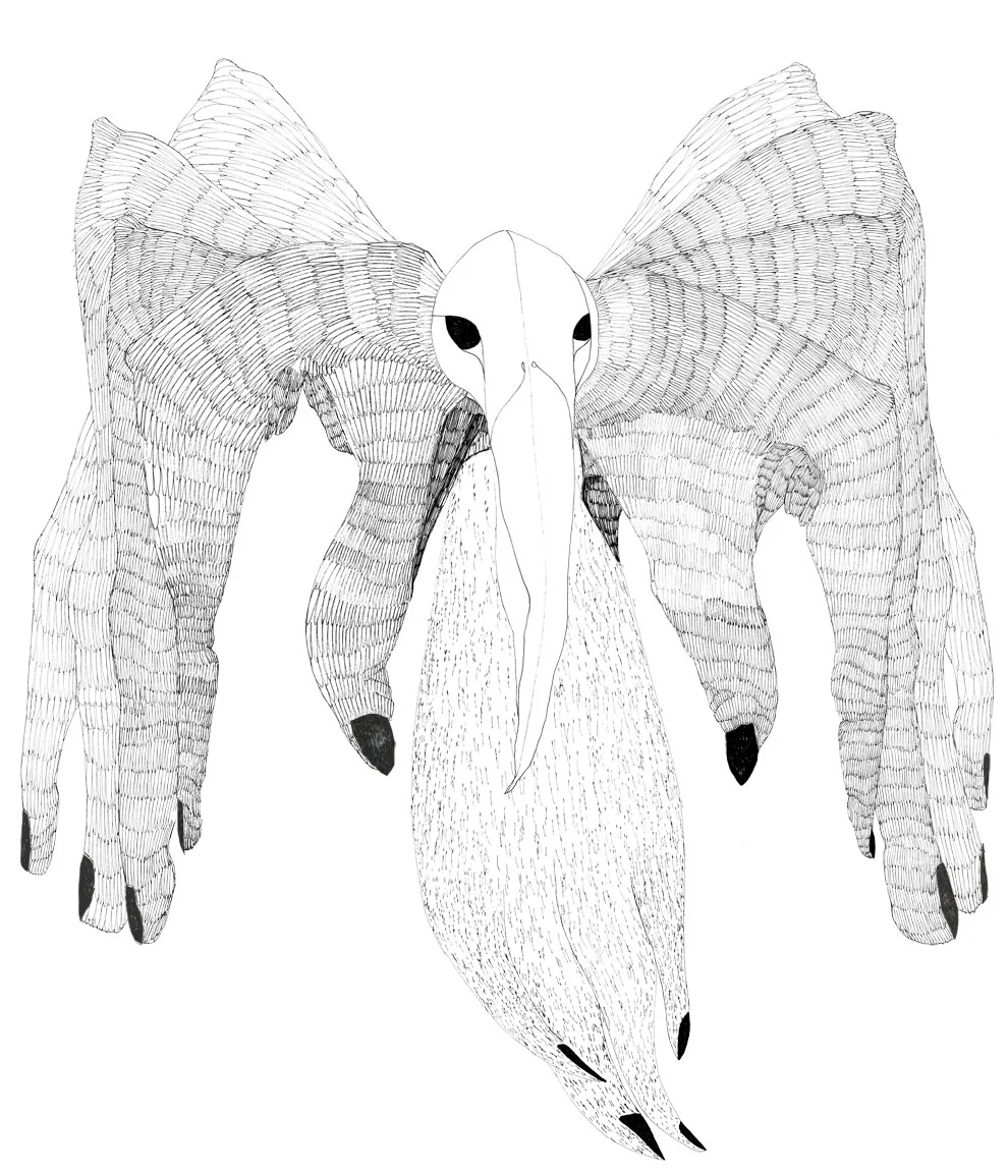 Fingerbird.jpg