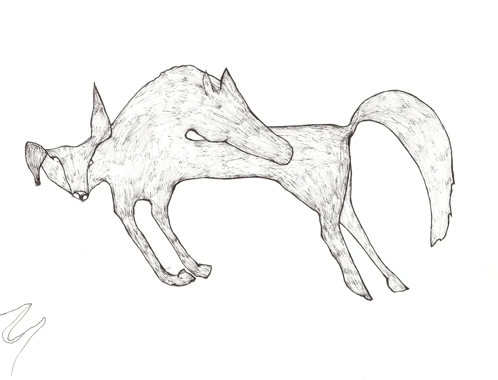 horsedog.jpg