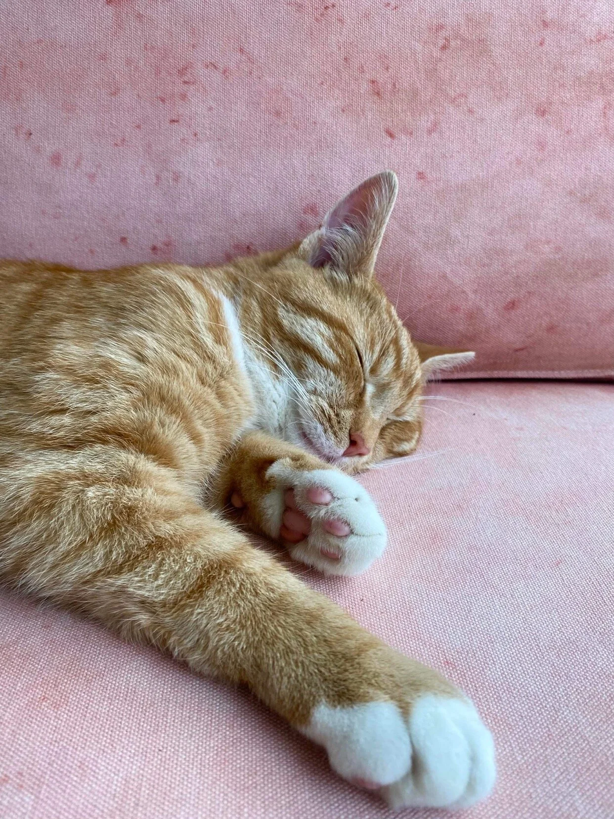 01FAD98D-85C5-40C0-B2EF-3BA163C9D622