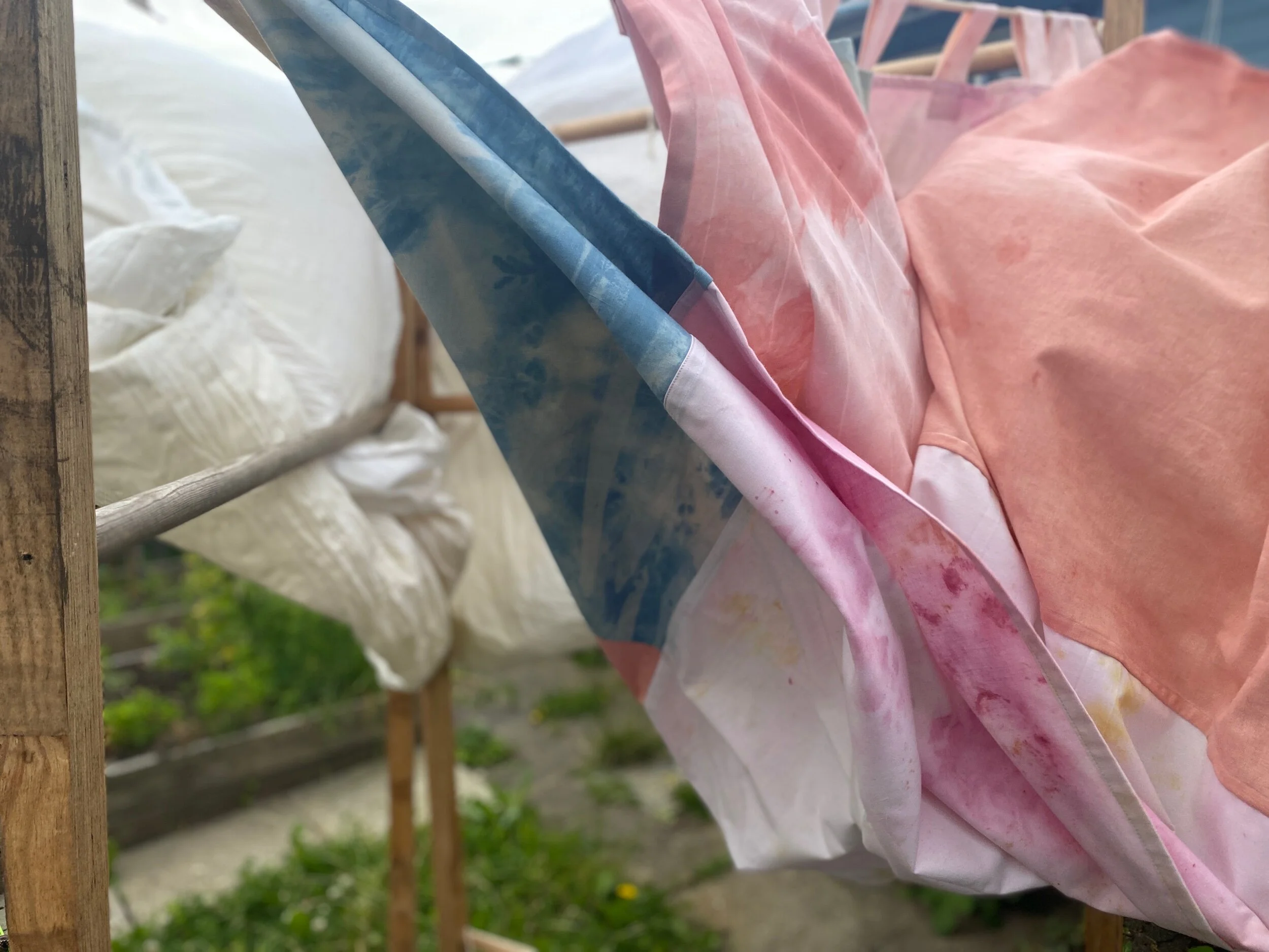 A1EA6905-AD38-42EE-86C8-77643C783C7F