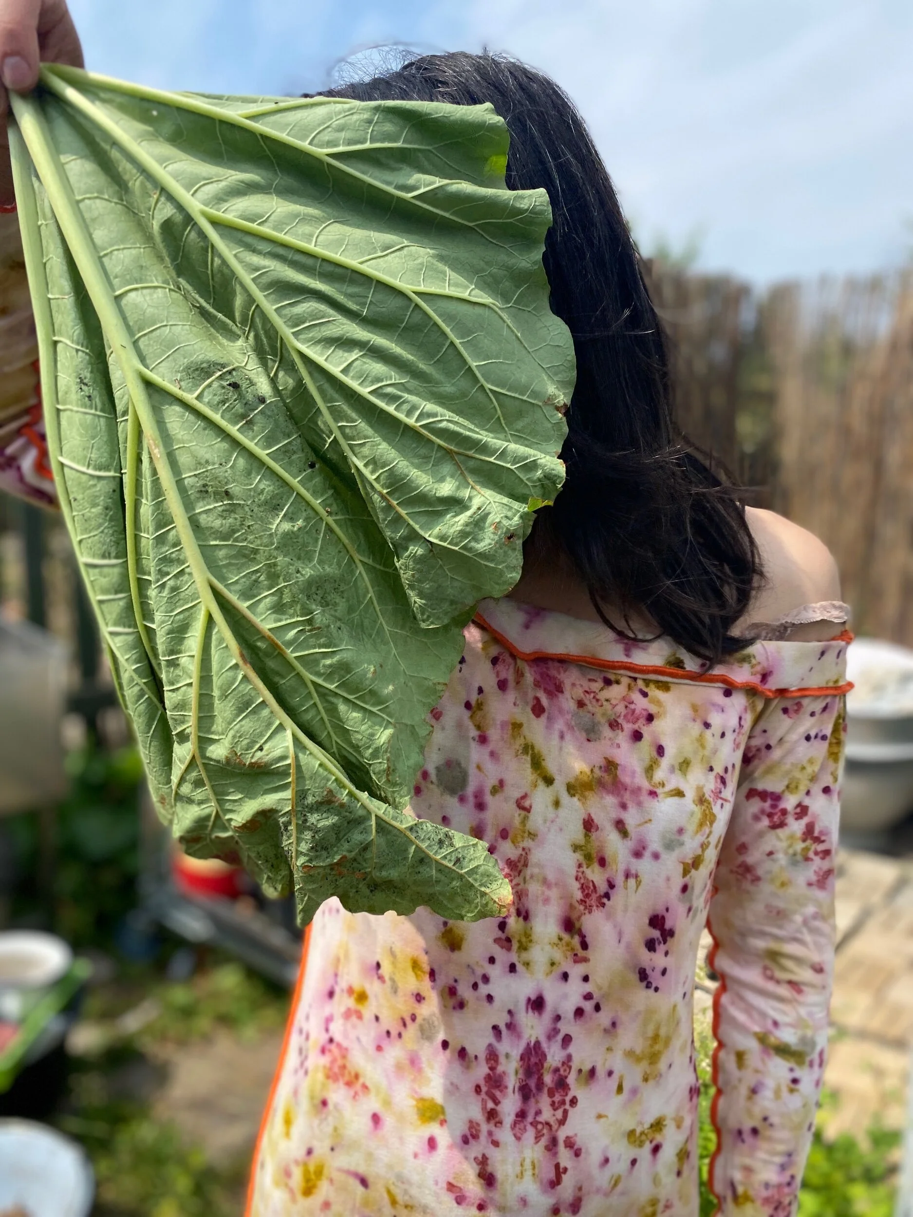 033A4FF3-9B22-43B2-8A43-E0EE1A1F01FD