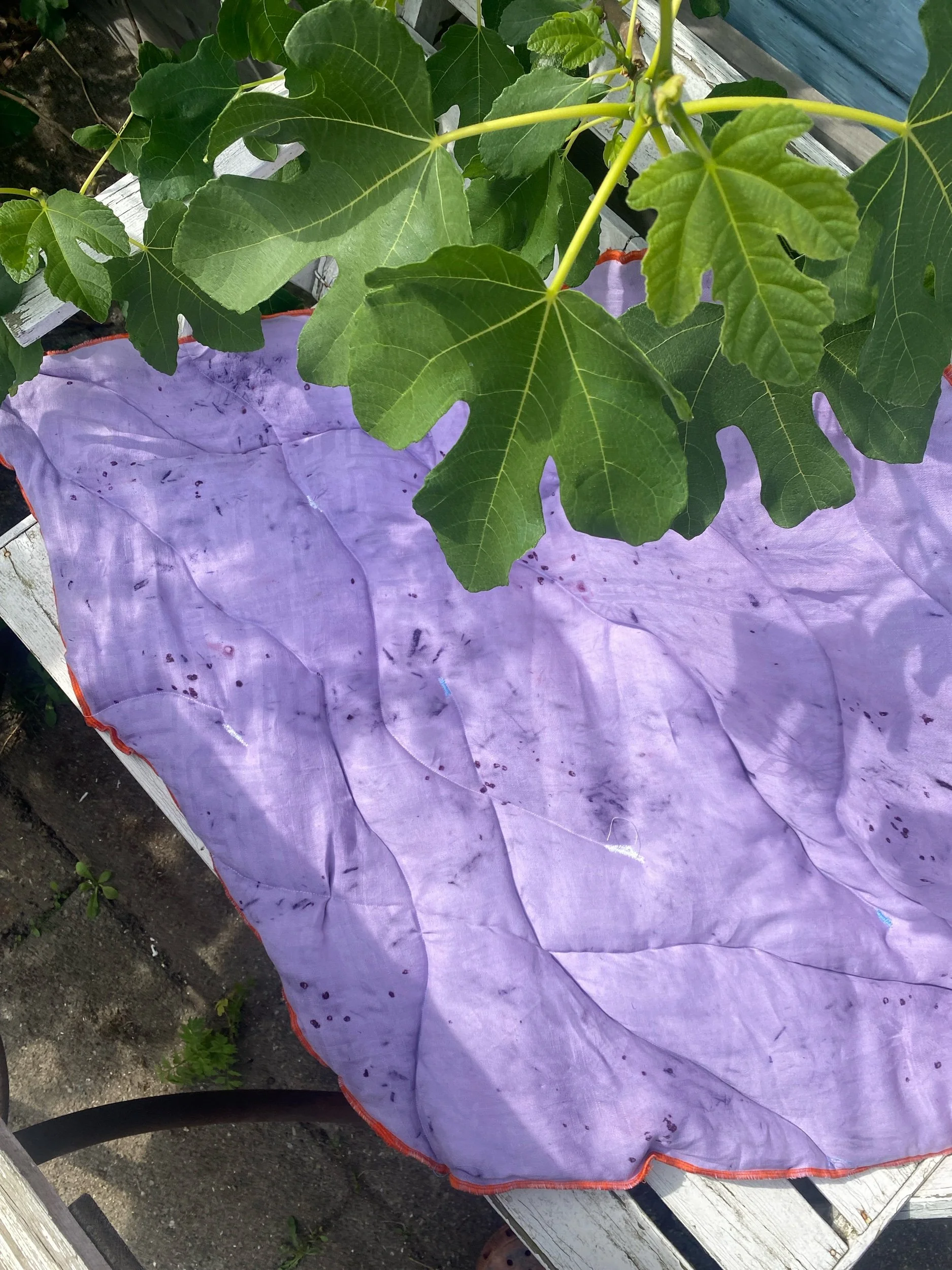 48A48211-AA08-460C-AA5D-C72A4D369DB6