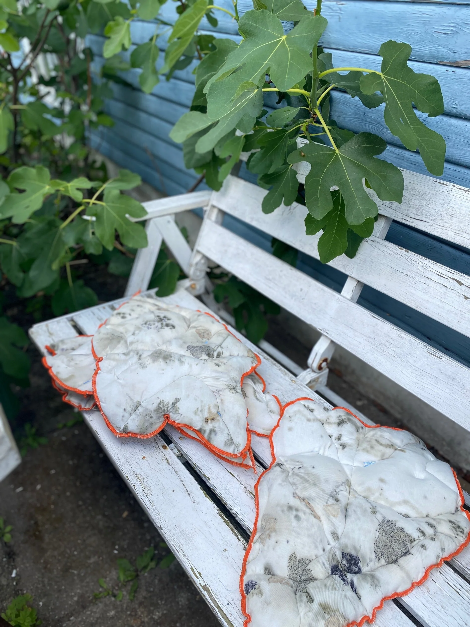 A64DEAF3-FC6B-41D9-B6DD-4C6DA2230A22