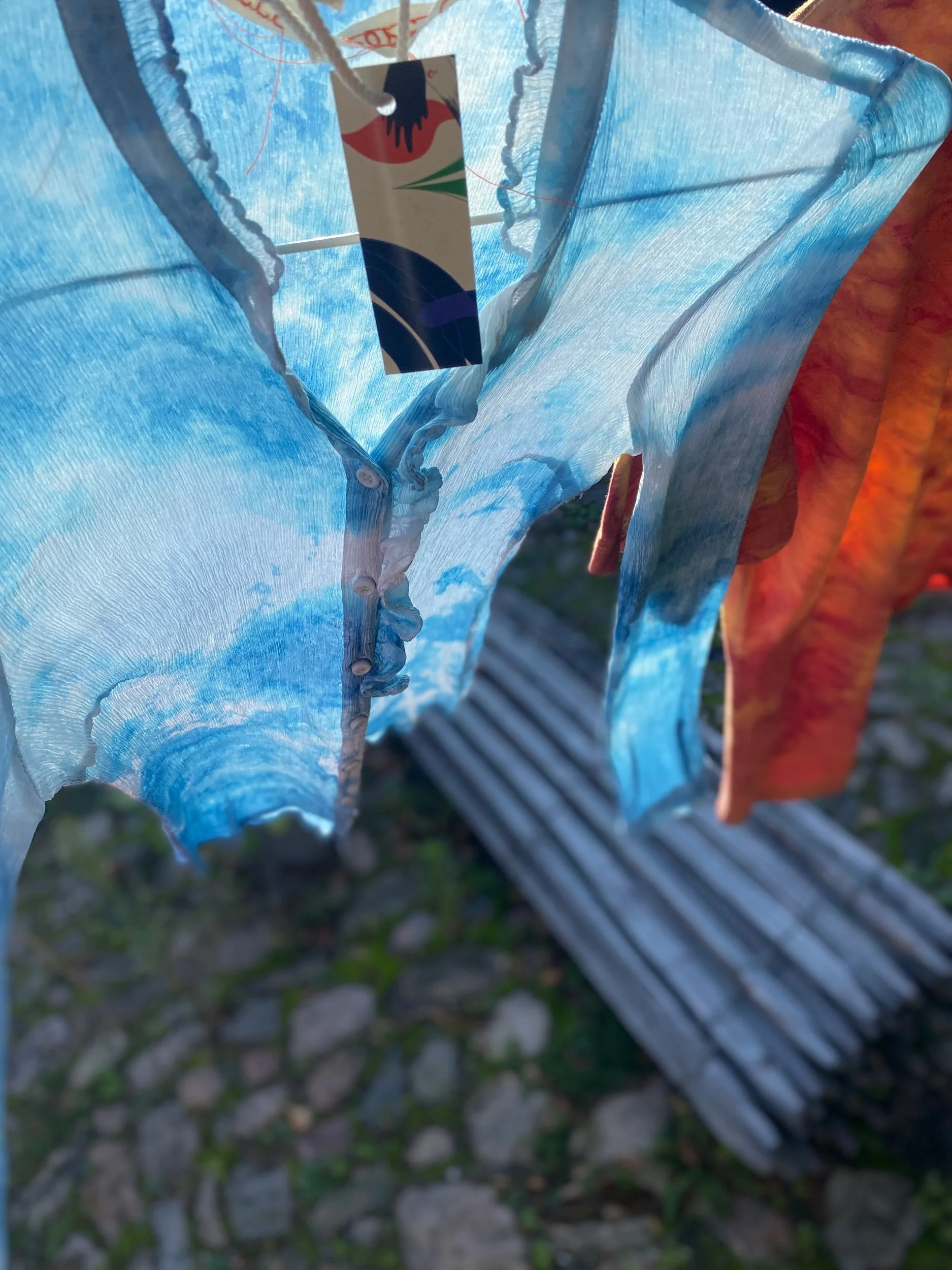 A1D1E61F-2392-40E1-B483-0DE3598D0DB6.jpeg