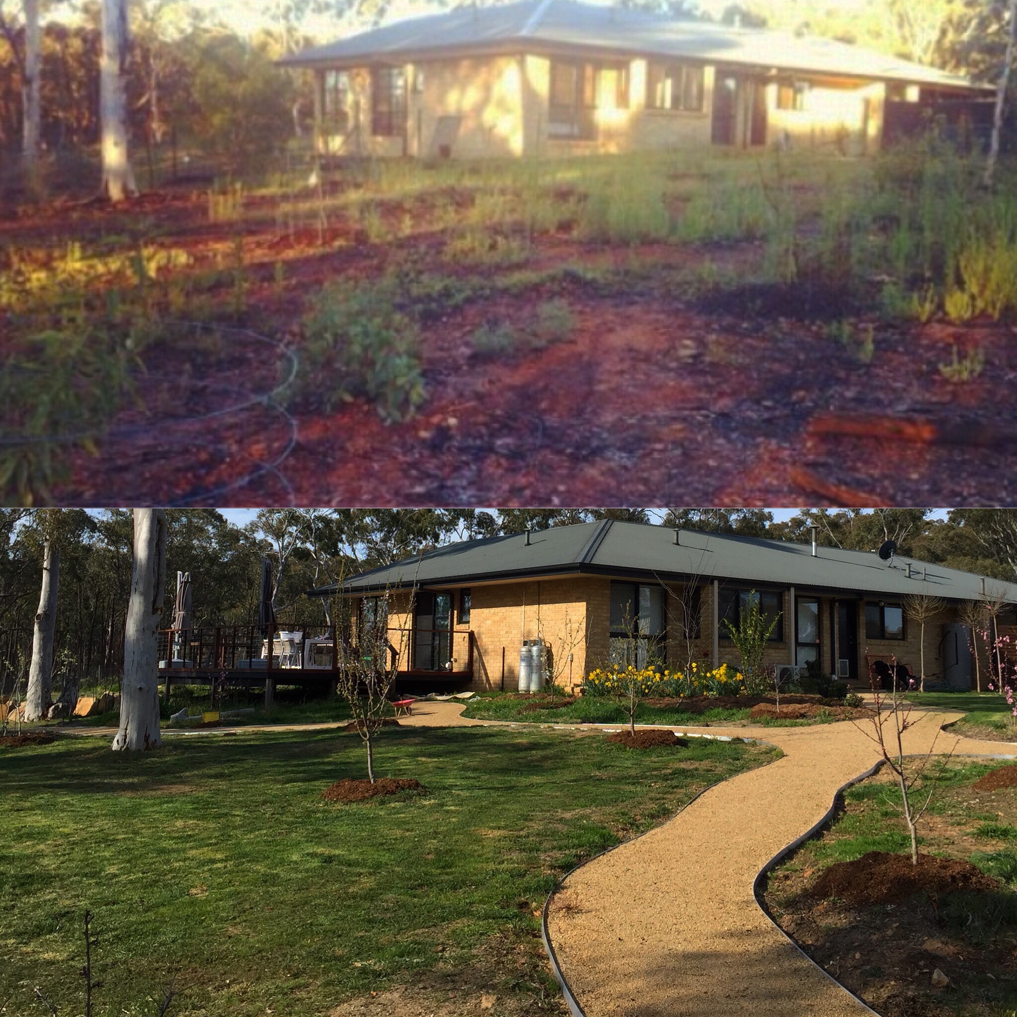 The top photo above is from 2011 and you can just make out the fruit trees... The bottom photo is from last weekend.