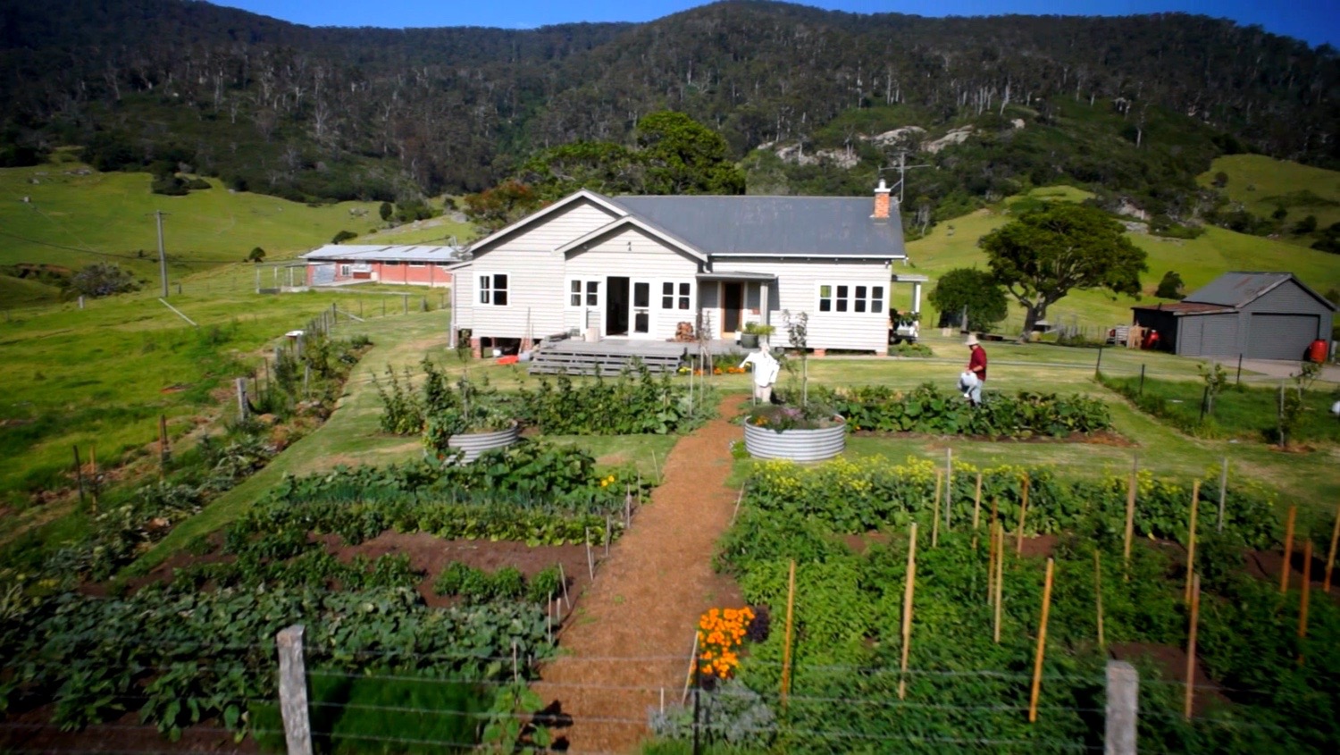 Gardening From Scratch Paul West River Cottage Australia The