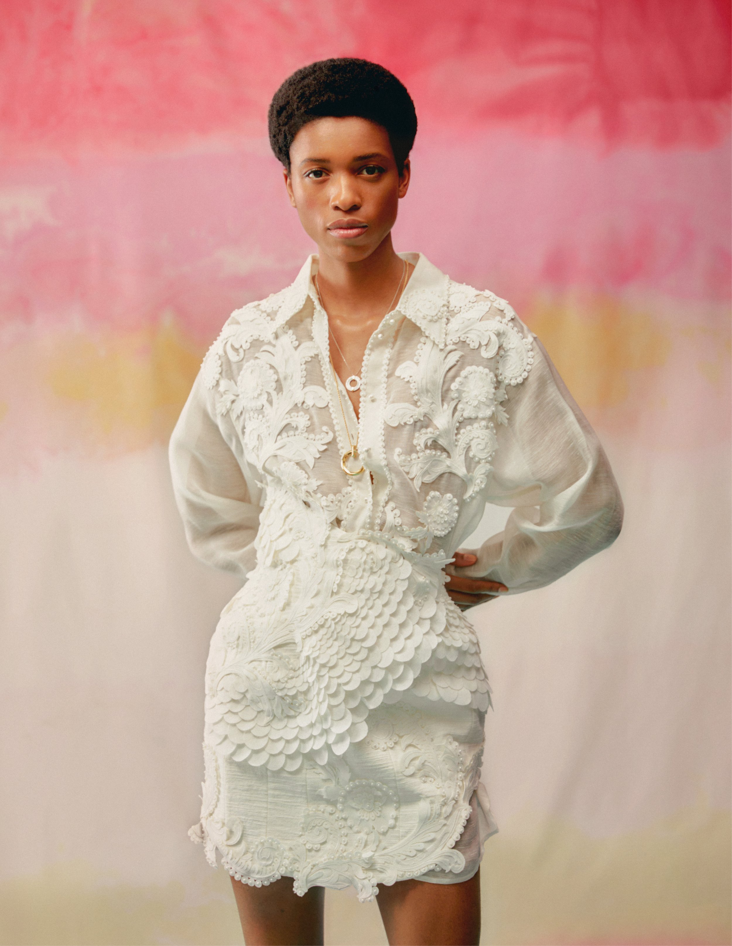 FINAL DV TRANSPARANT7.jpg