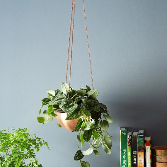 Hanging Planter Vessel from INSEK DESIGN