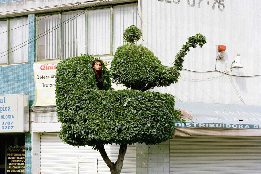 Image from Yellowtrace, taken by French photographer Erwan Fichou