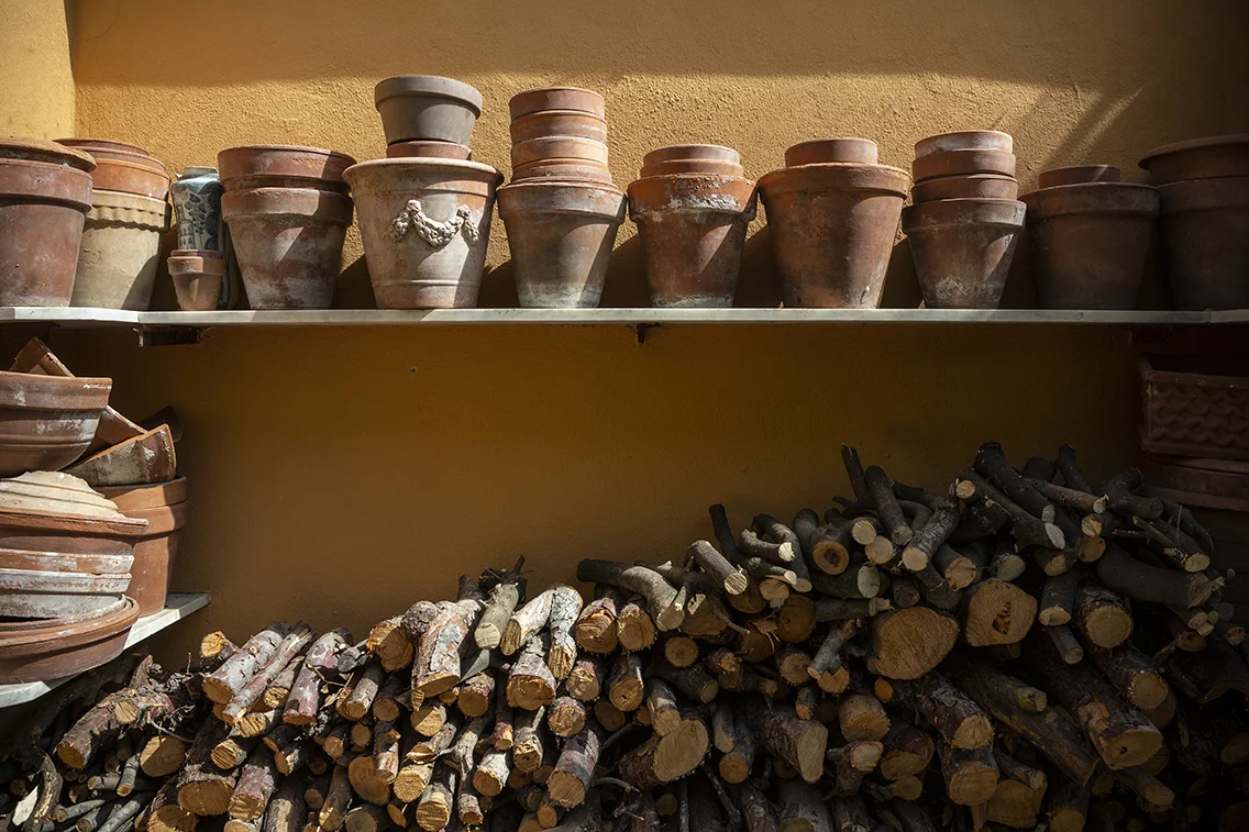 garden. barbecue wood.