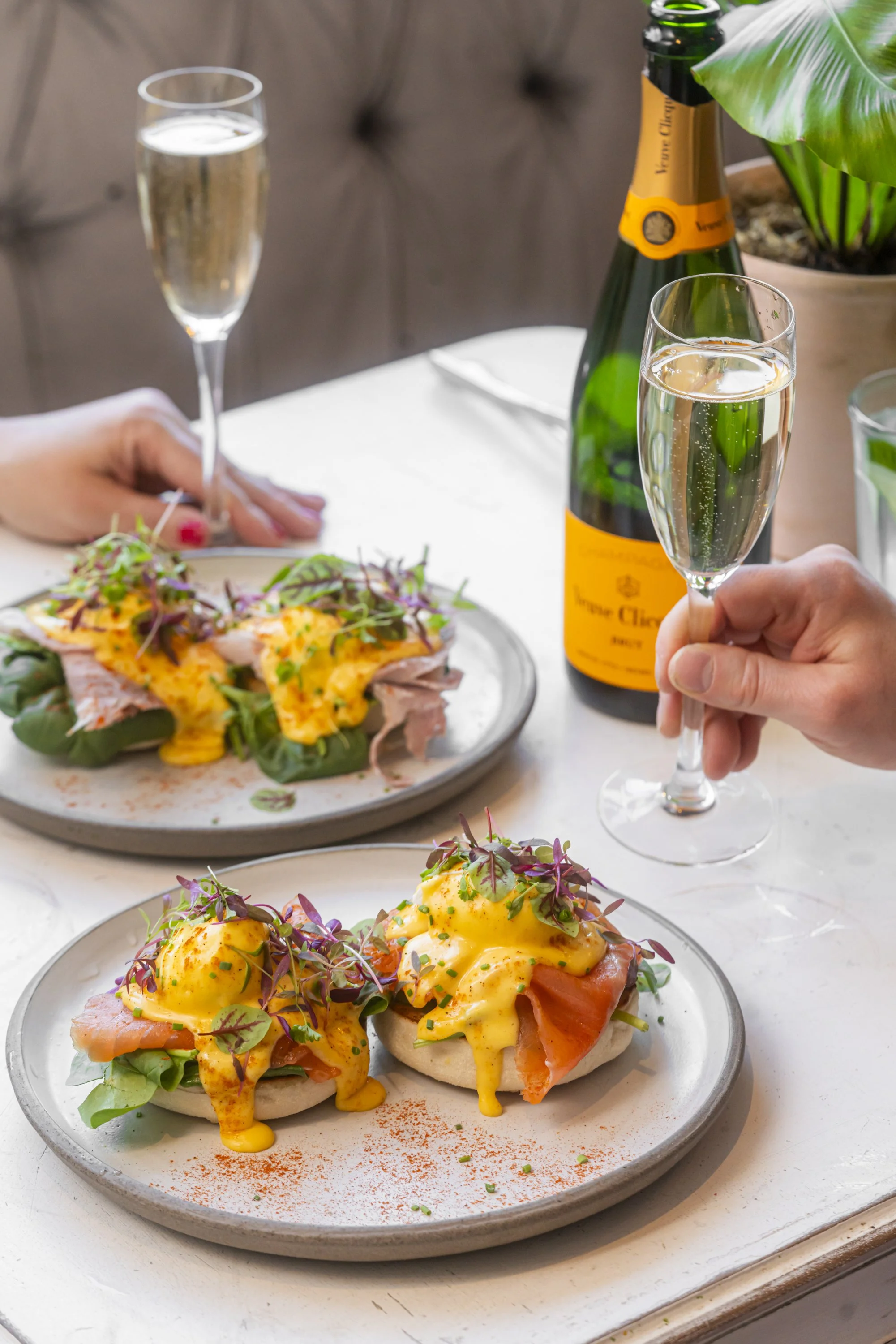 Bottomless Brunch