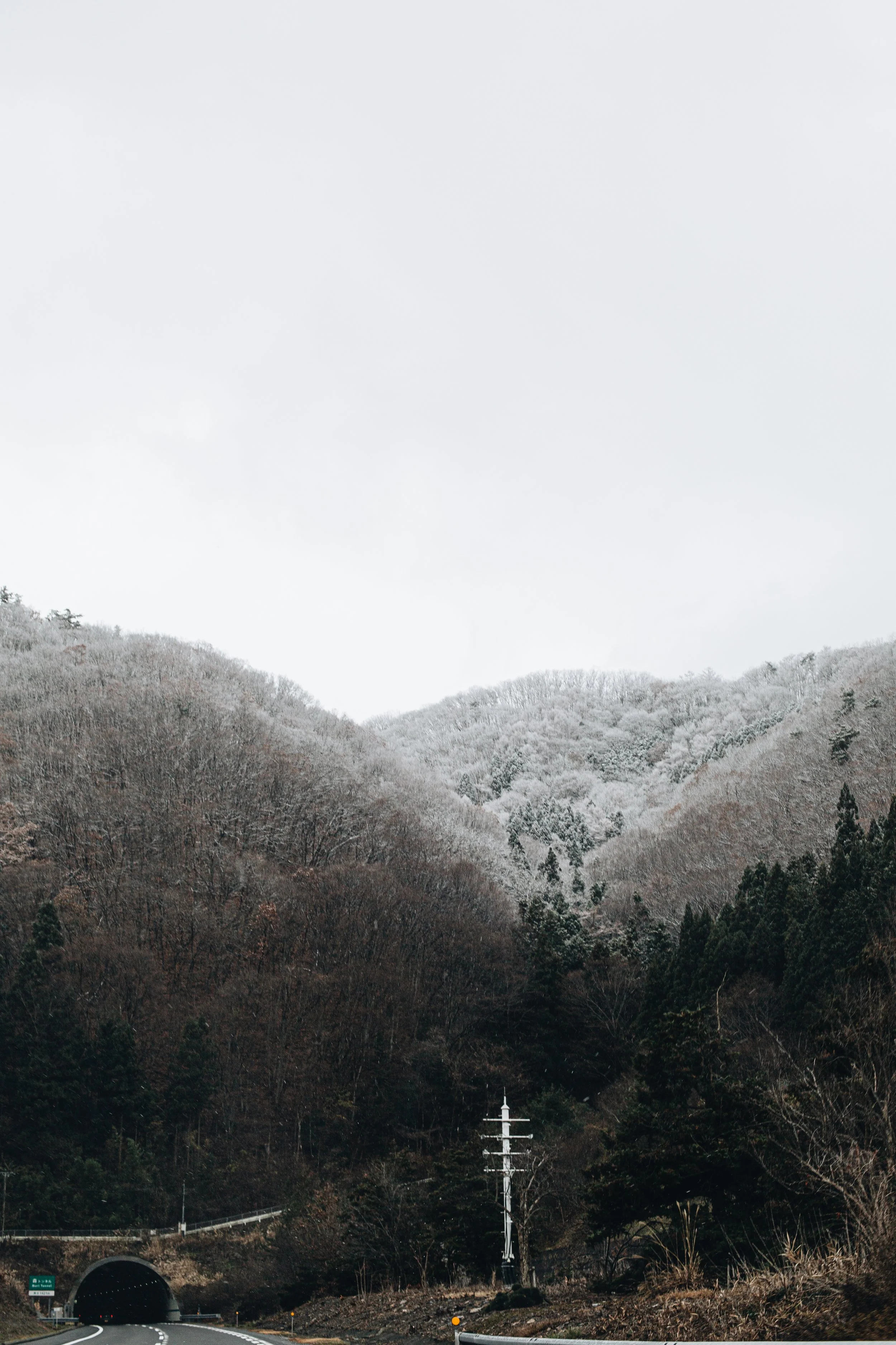 A Winter Sojourn: Karuizawa, Hakuba, and Chiba’s Seasonal Charms