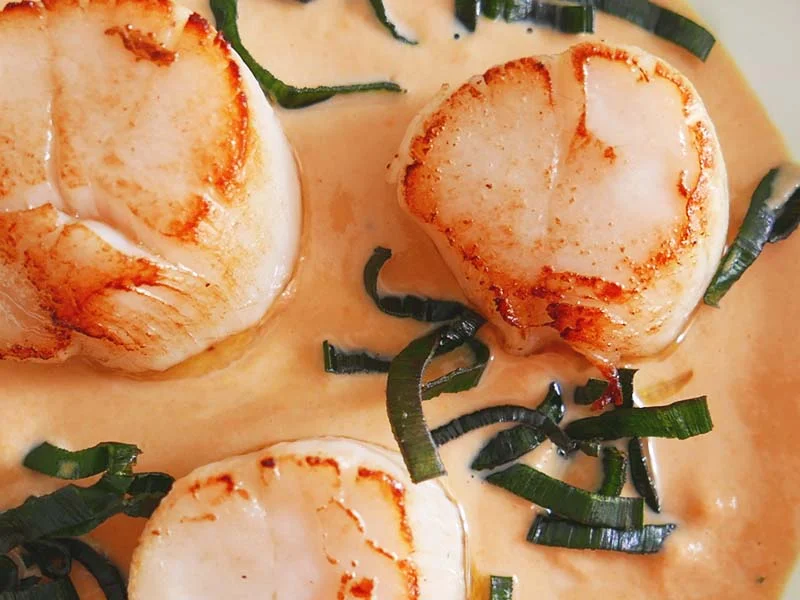 Noix de SaintJacques sauce au corail et fondue de poireaux — Noix de SaintJacques sauce au corail et fondue de poireaux —