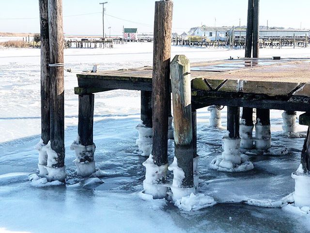 Tangier turns 332 this year. Two days ago backwater pilings looked like candles in their birthday cake. 🎂🌊
&mdash;&mdash;&mdash;&mdash;&mdash;&mdash;&mdash;&mdash;&mdash;&mdash;
#tangier #oysters #chesapeakebay #LoveVA #VAoysters #oysterfarming #oy