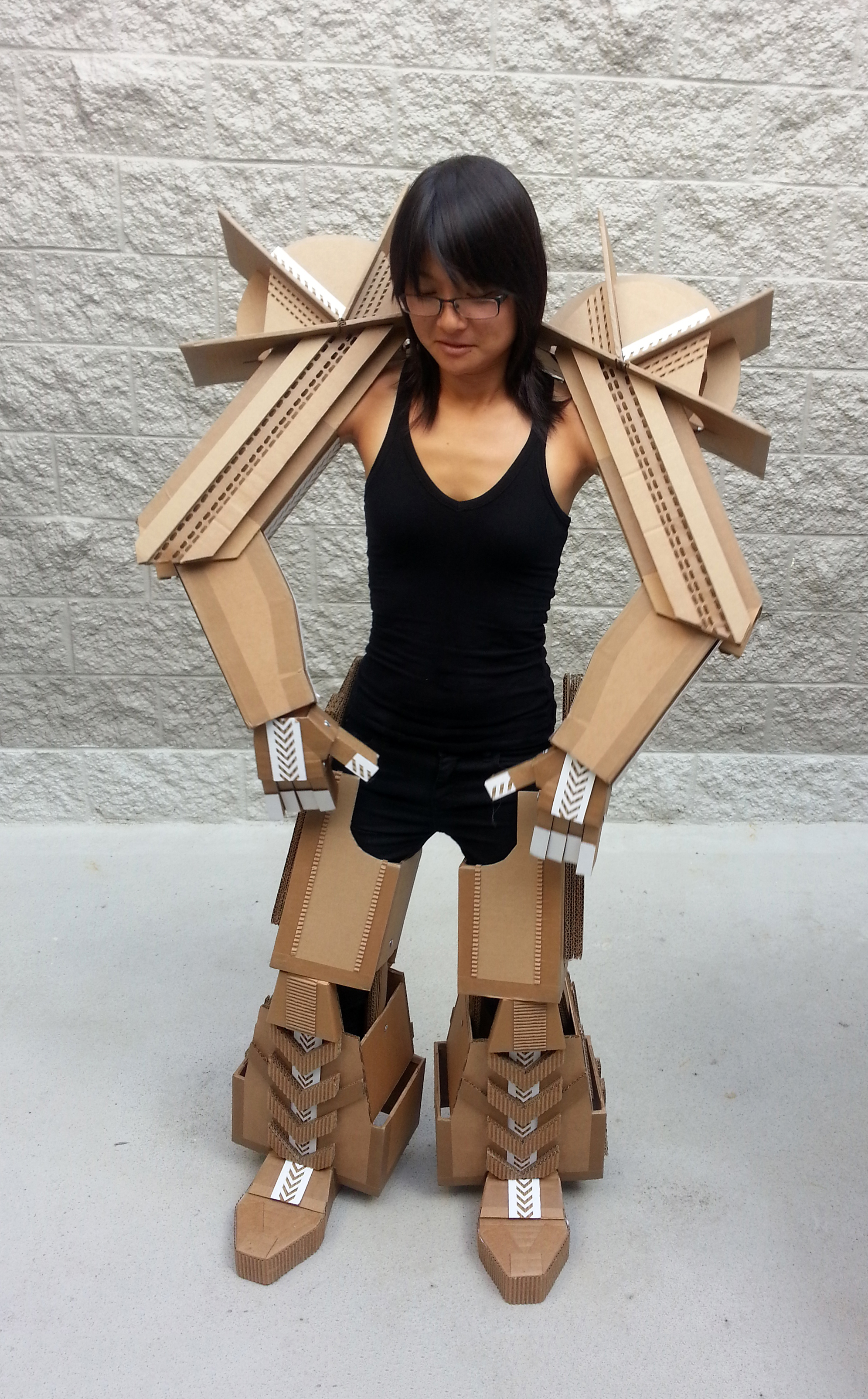 Cardboard Robonoid