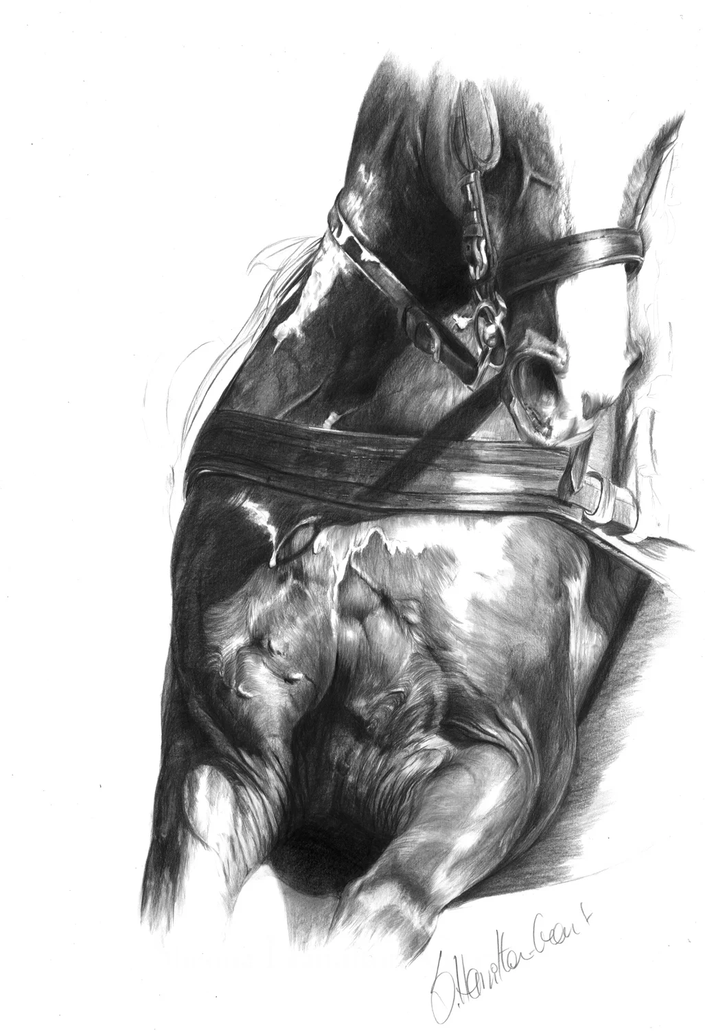 Pull Forth