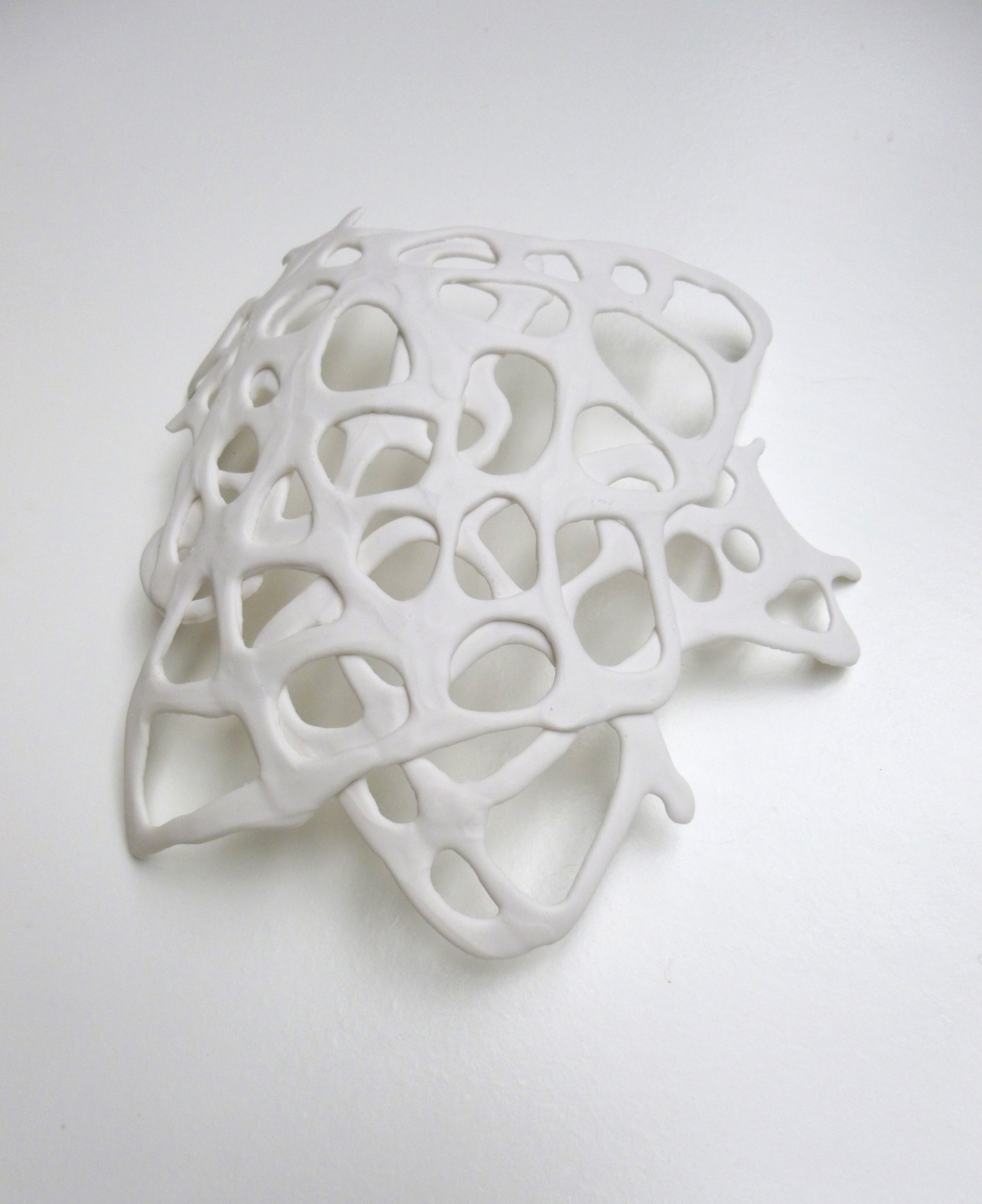 bone_structure3.jpg