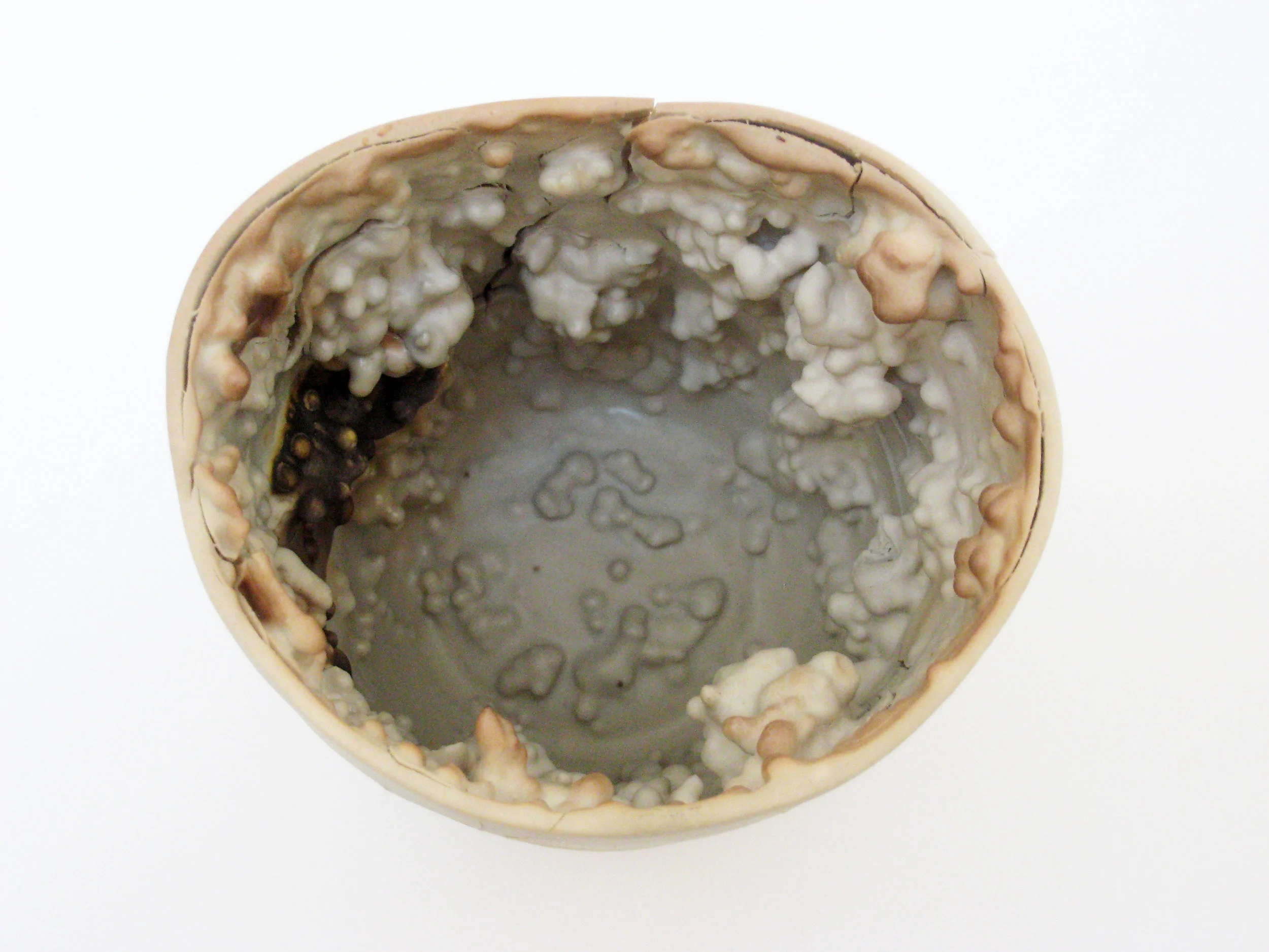 Contamination__Streptococcus(1).jpg