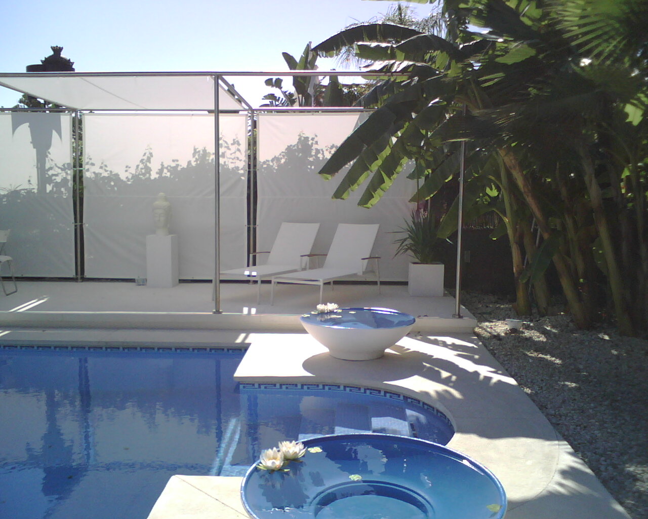 The small garden has banana , avocado and lemon trees.