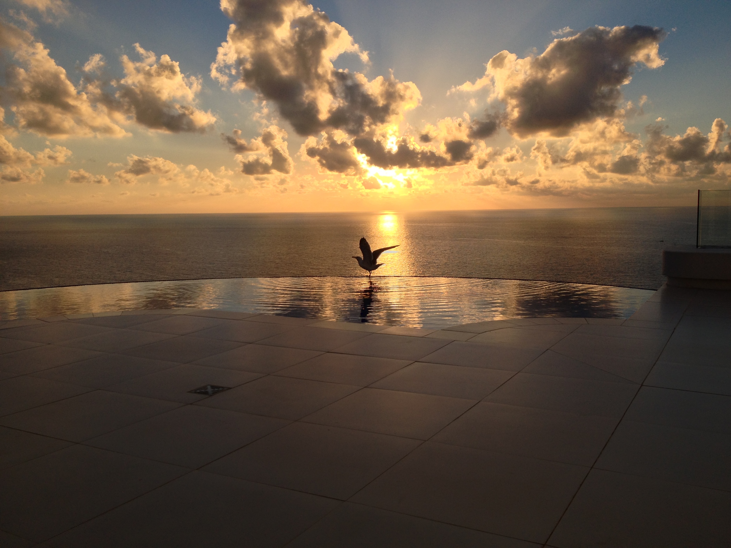 ..... and at sunset with a seagull landing.