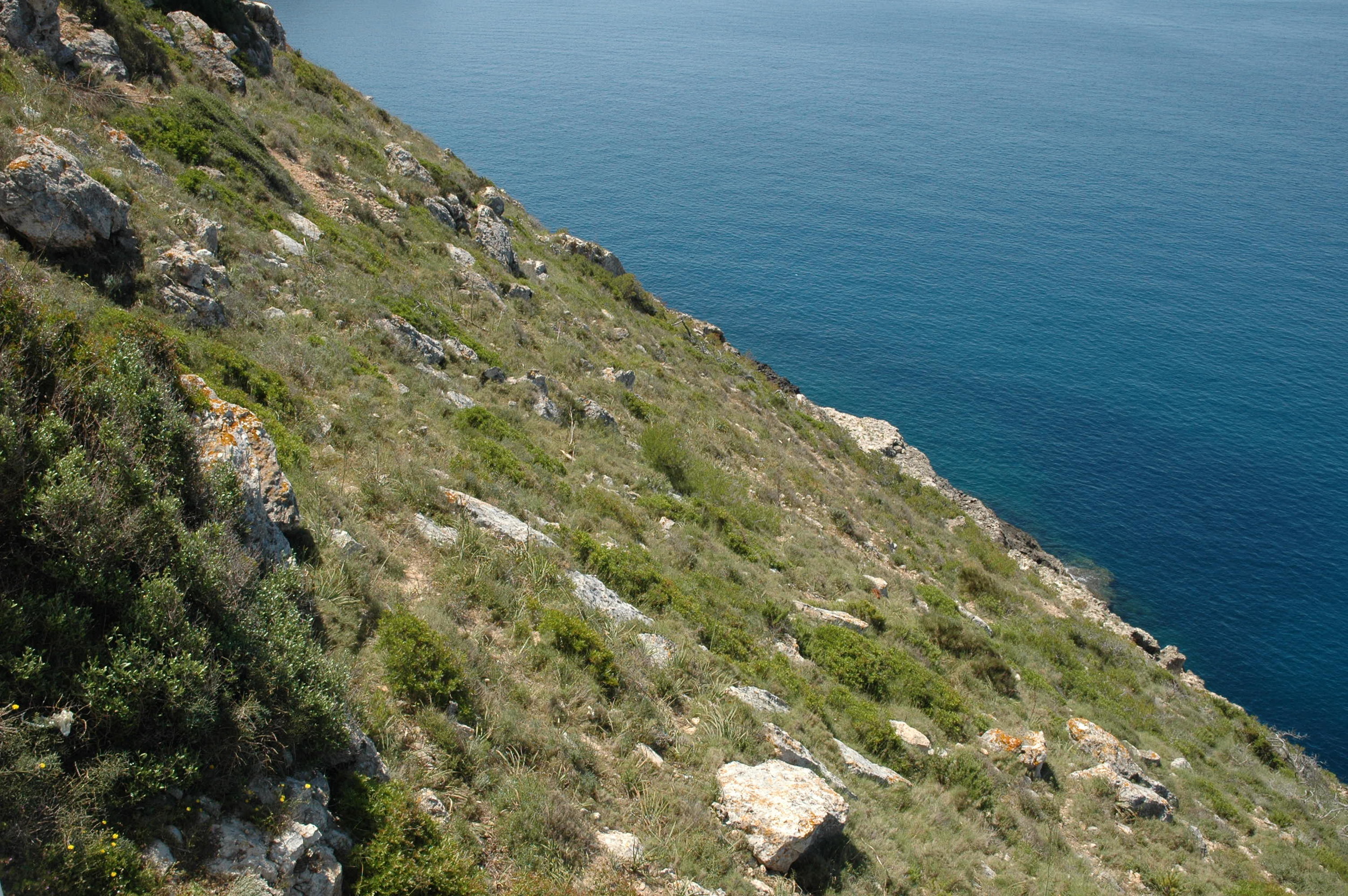 Original 45 degree sloping site for Skyhigh before excavation.