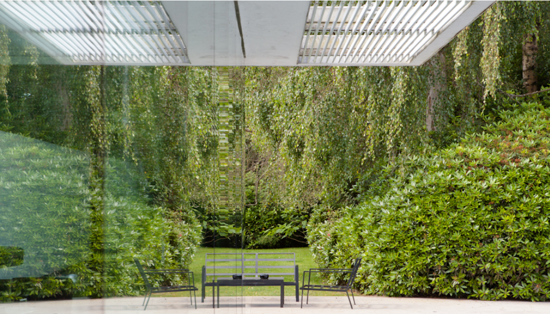 Reflection of garden in main glass facade.