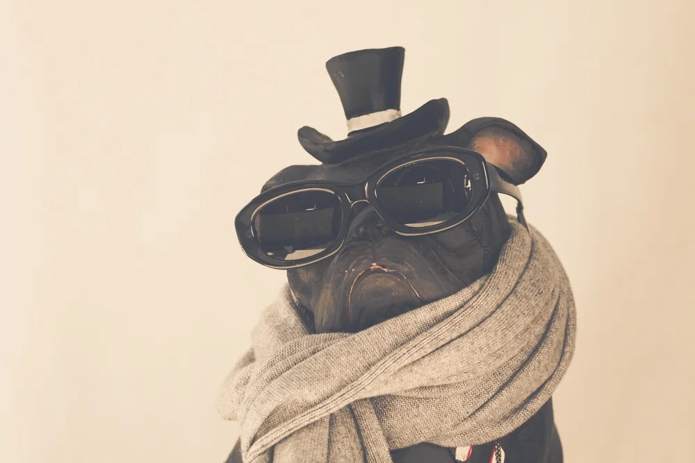 winston - sunglasses (1 of 3).jpg