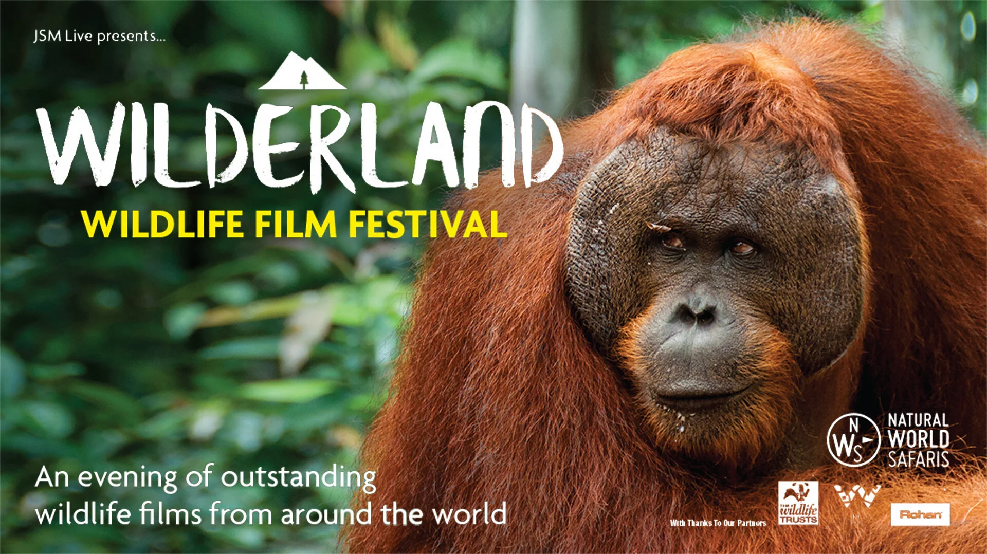 Wilderland-A3-Horz-(Orangutan)-1920x1080.jpg